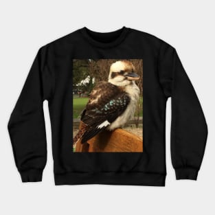 Kookaburra Crewneck Sweatshirt